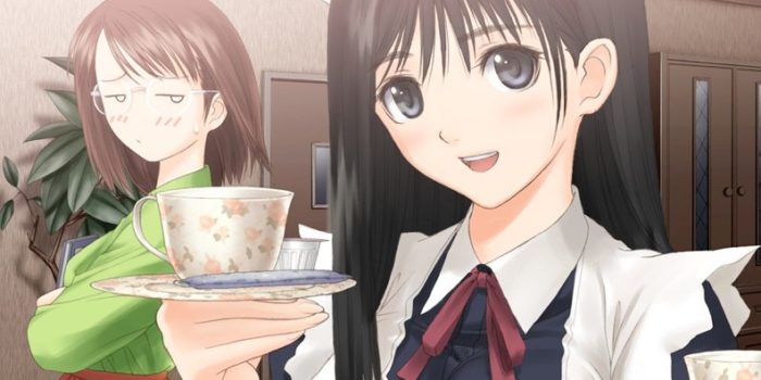 »Hot Manga«: Hentais werden nur mit Untertiteln veröffentlicht genmukan
