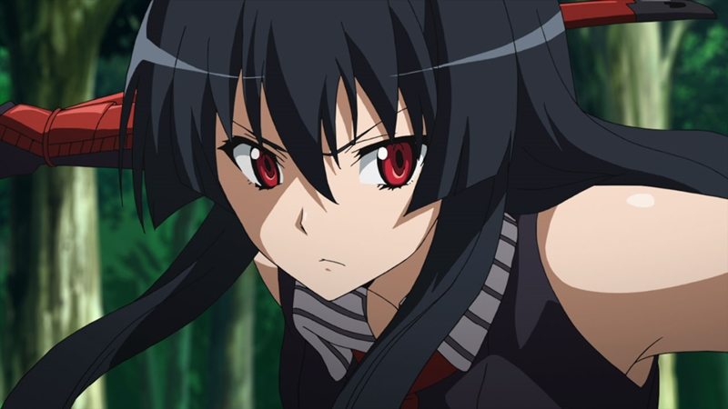 Akame-ga-KILL