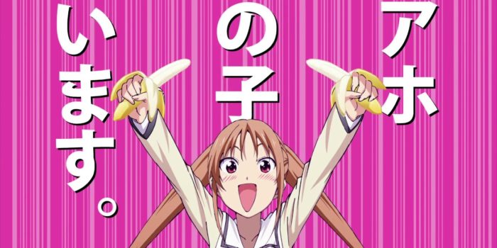 Teaser zu »Aho-Girl: Clueless Girl« enthüllt den Starttermin ahogirl