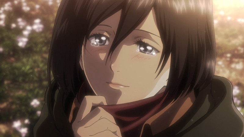 Mikasa-Ackerman_Z12.1