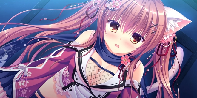 nekoninheader
