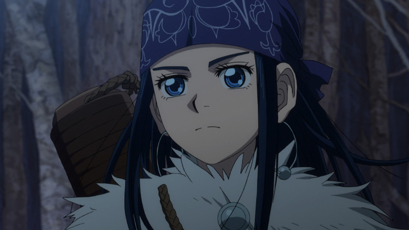 Asirpa_TL_14.7