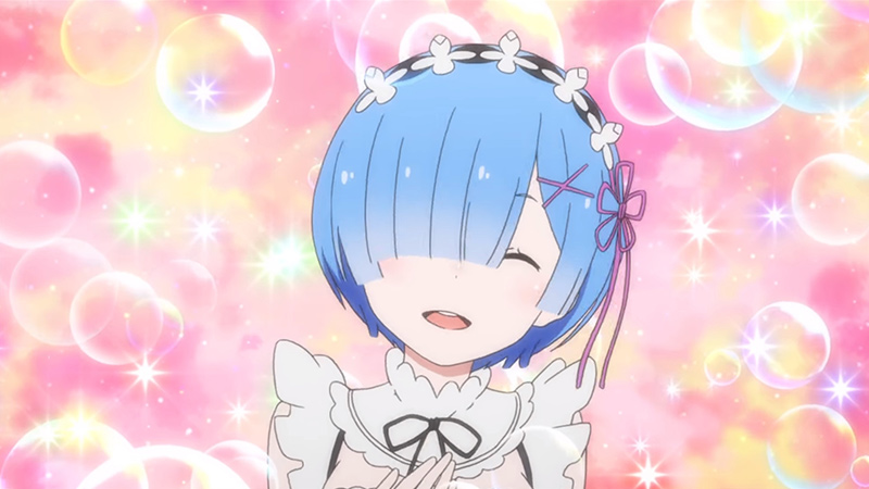 rem_TL8.11