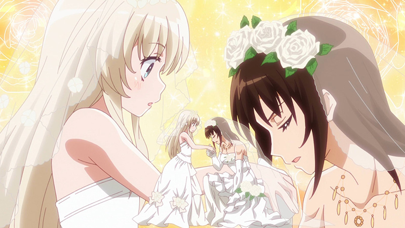 uzamaid_TL800x450