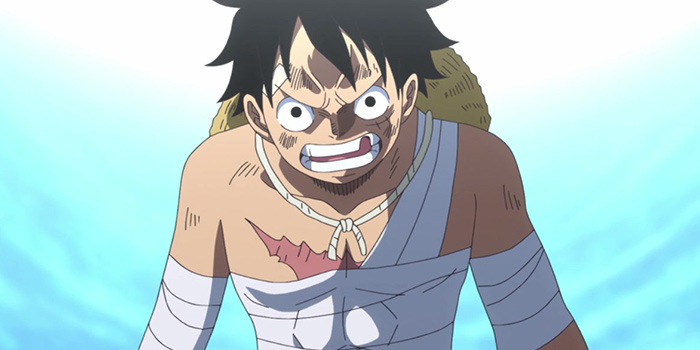 one-piece-h24