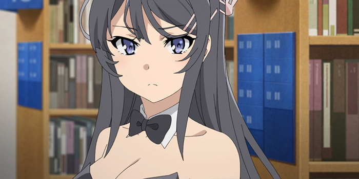 »Rascal Does Not Dream of Bunny Girl Senpai«: Collector’s Edition und