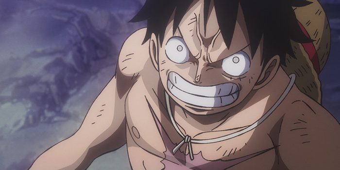 one-piece-h-20-7