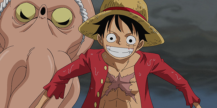 one-piece-h-22-7