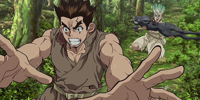 drstone