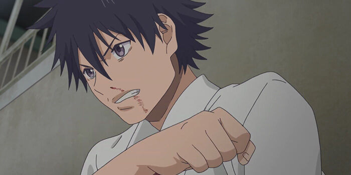 Ahiru no Sora