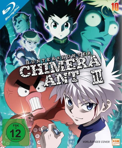 Hunter X Hunter Releasetermin Des Zehnten Volumes Anime2you