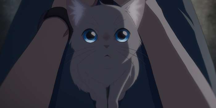 »Um ein Schnurrhaar«: Neuer Trailer zum Netflix-Film – Anime2You