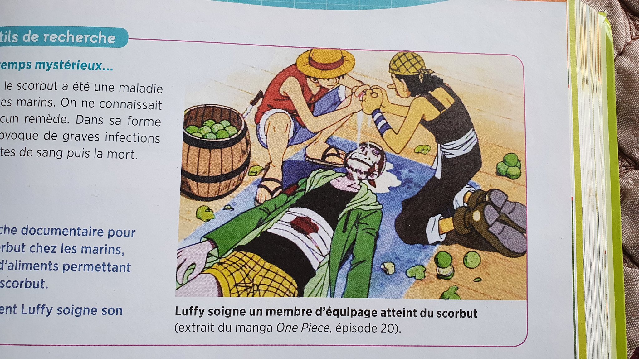 One Piece Schafft Es In Lehrbuch Fur Sechstklassler Anime2you