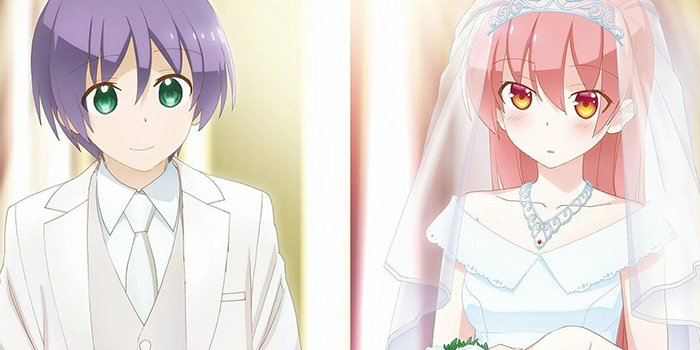 Otaku-Heiratsvermittlung in Japan auf Erfolgskurs