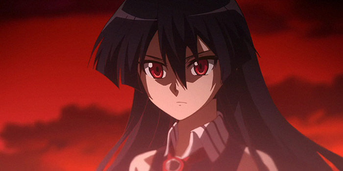 Akame ga Kill!, Netflix