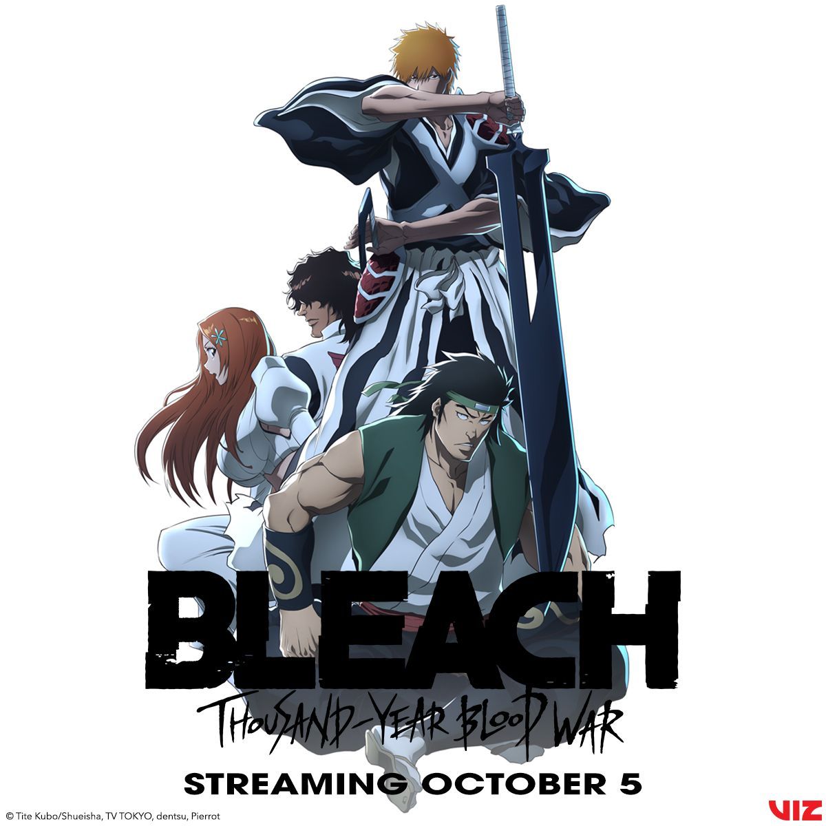 BLEACH.jpeg