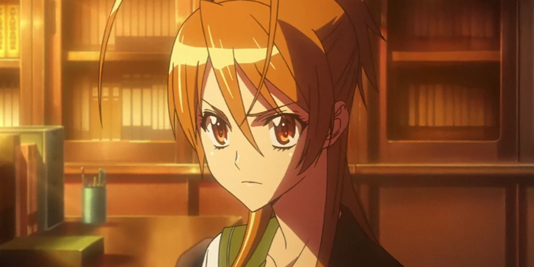 High School of the Dead